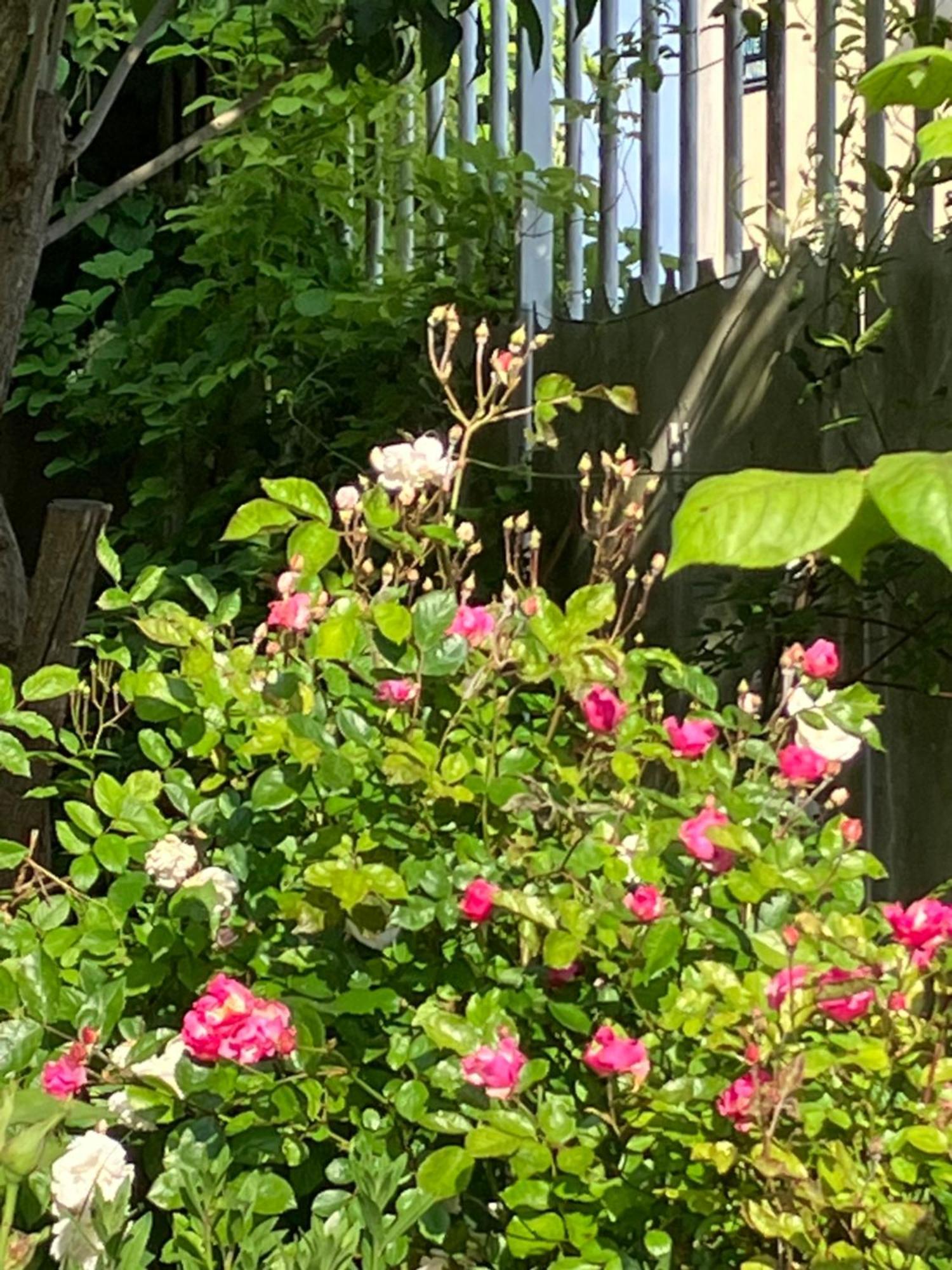 La Villa Lauvray Vétheuil 외부 사진