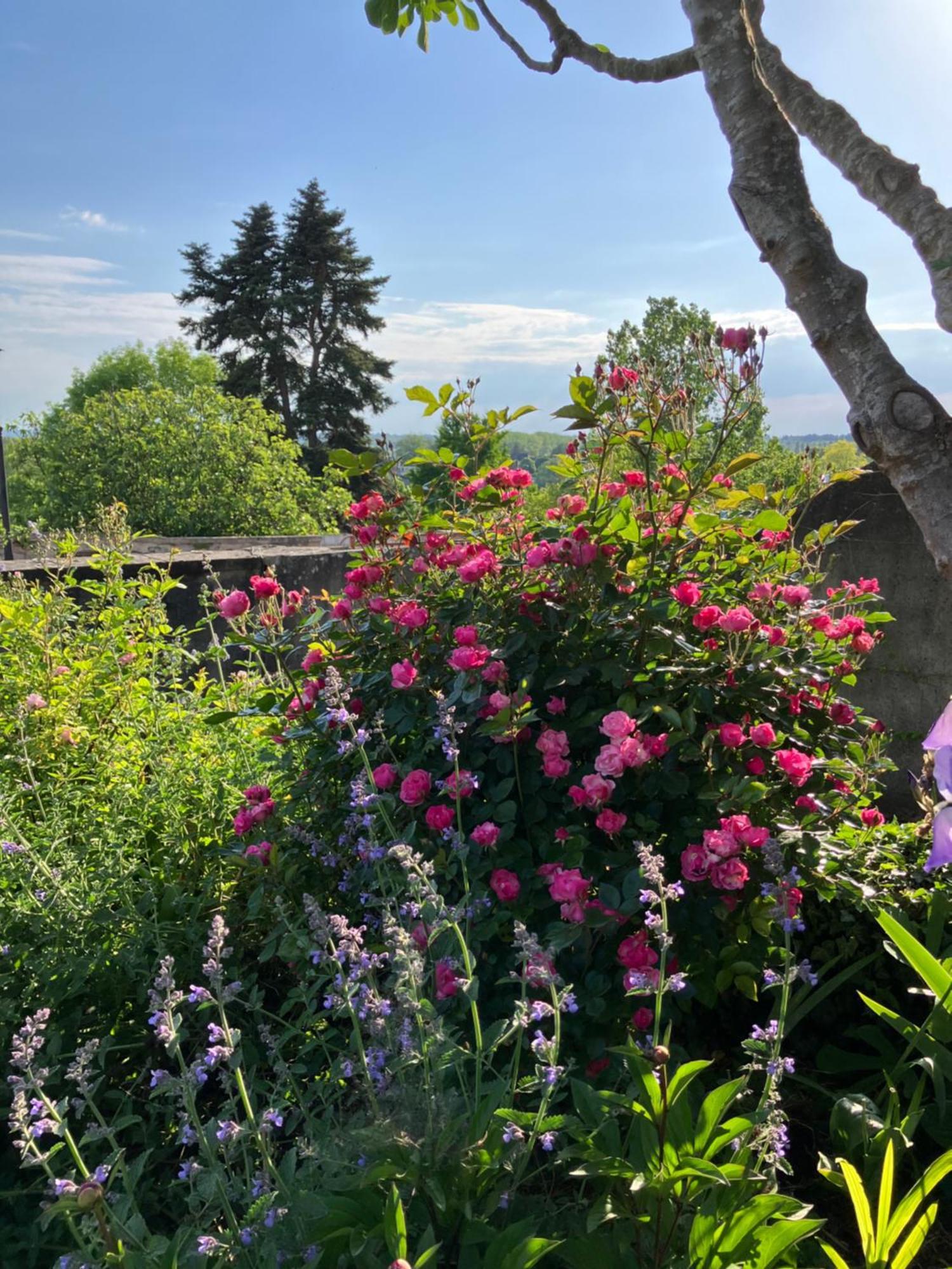 La Villa Lauvray Vétheuil 외부 사진